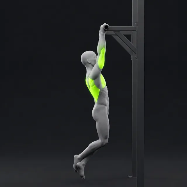 Pull-up, hanging from the bar with arms straight